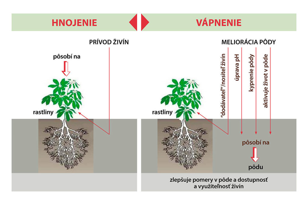 Rovdiely Hnojenie Vapnenie